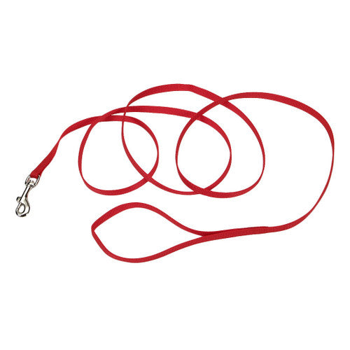 Coastal Single - Ply Nylon Leash Red 3/8x6ft {L + 2} - Dog