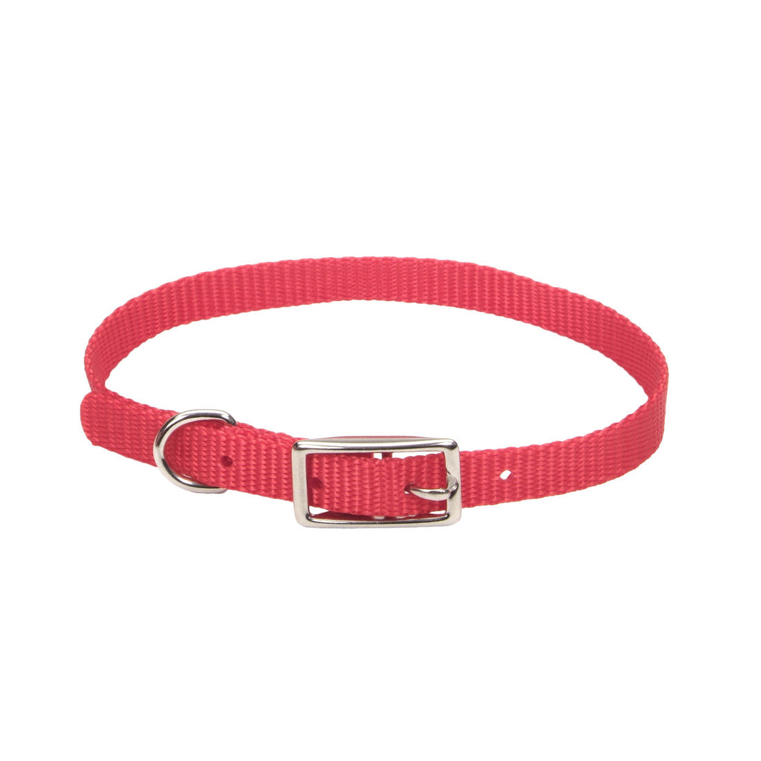 Coastal Style 301 3/8" x 10" Nylon Web Collar Red {L+b}764005 076484008214
