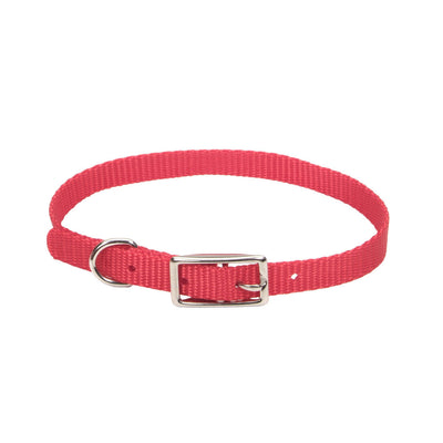 Coastal Style 301 3/8" x 10" Nylon Web Collar Red {L+b}764005 076484008214