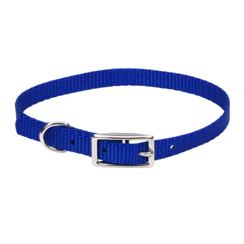 Coastal Style 301 3/8’ x 12’ Nylon Web Collar Blue {L + b}764011 - Dog