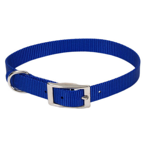 Coastal Style 401 5/8’ x 12’ Nylon Web Collar Blue {L + b}764031 - Dog