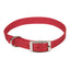 Coastal Style 401 5/8" x 12" Nylon Web Collar Red {L+b}764035 076484034213