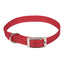 Coastal Style 401 5/8’ x 12’ Nylon Web Collar Red {L + b}764035 - Dog