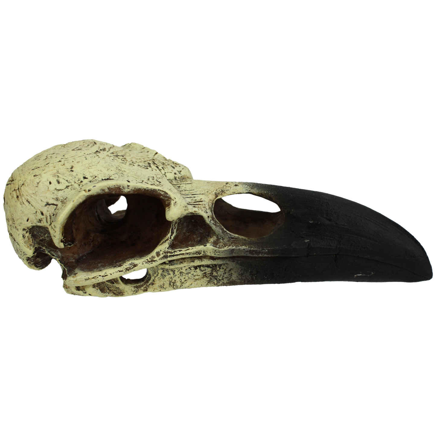 Komodo Raven Skull Hideout Large, 18 in 784369933154