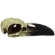Komodo Raven Skull Hideout Large, 18 in 784369933154