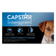 Capstar Flea Tablet for Small Dogs 11.4 Mg Each, 6 Tablets 073091033370