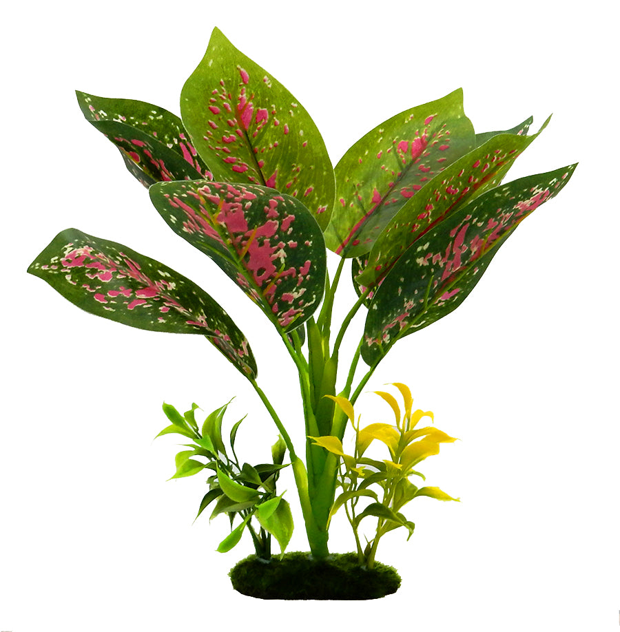 Blue Ribbon Pet Products Tropical Gardens Chinese Evergreen Aquarium Plant 12 in 030157021047
