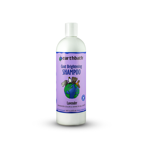 Earthbath Coat Brightening Shampoo Lavender 16oz - Dog