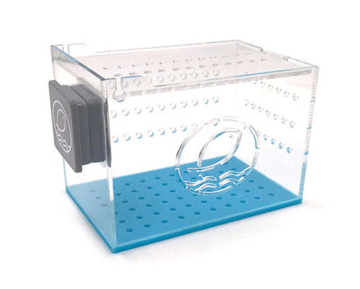 Eshopps TankliMate Fish Acclimation Box Clear/Blue SM - Aquarium