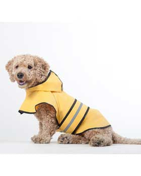 Ethical Pet Fashion Lookin’ Good Rainy Days Slicker Yellow Raincoat - large - {L + 1} - Dog
