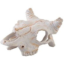 Exo Terra Buffalo Skull Small Pt2925{L + 7} - Reptile