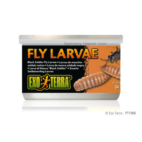 Exo Terra Canned Black Soldier Fly Larvae 1.2 oz - Reptile