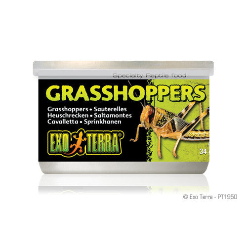 Exo Terra Canned Grasshoppers 1.2 oz - Reptile