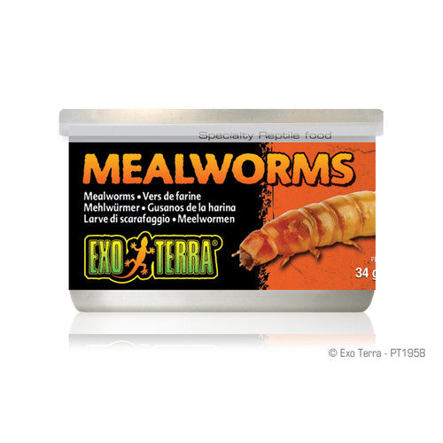Exo Terra Canned Meal Worms 1.2 oz - Reptile