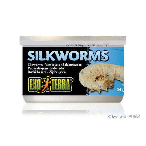 Exo Terra Canned Silkworms 1.2 oz - Reptile