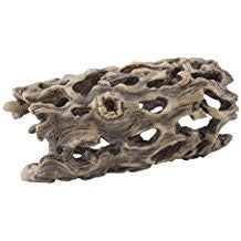 Exo Terra Cholla Cactus Skeleton Small Pt2986{L + 7} - Reptile