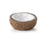 Exo Terra Coconut Water Dish - Reptile