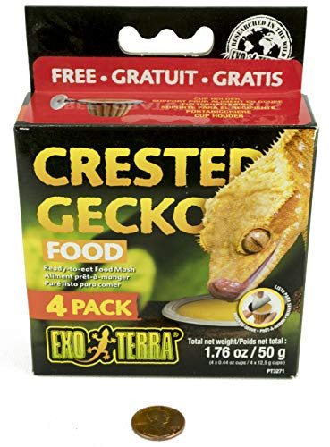 Exo Terra Crested Gecko Food - 4 Pack Pt3271{L + 7} Reptile