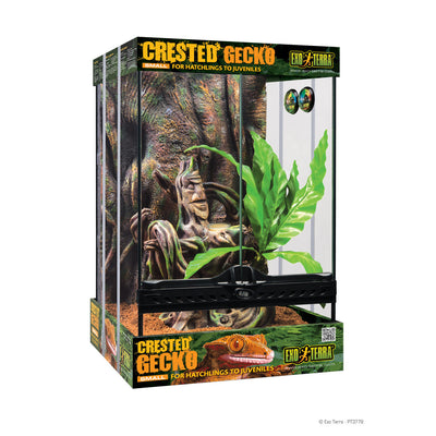 Exo Terra Crested Gecko Kit, Small 015561237789