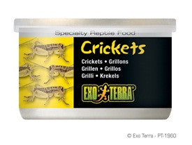 Exo Terra Crickets Small Size 1.2oz Pt1960{L + 7} - Reptile