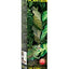 Exo Terra Dripper Plant Large Pt2492{L + 7} - Reptile