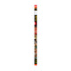 Exo Terra Fluorescent Bulb UVB 200 25W 30’ (DD) - Reptile