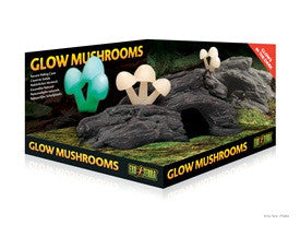 Exo Terra Glo Mushrooms Hideout Pt2843 015561228435