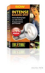 Exo Terra Intense Basking Spot Lamp 50w Pt2135{L+7} 015561221351