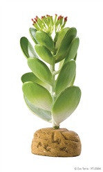Exo Terra Plant Jade Cactus Pt2984{L + 7} - Reptile