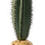 Exo Terra Plant Saguaro Cactus Pt2981{L + 7} - Reptile