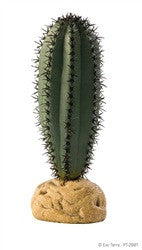 Exo Terra Plant Saguaro Cactus Pt2981{L + 7} - Reptile