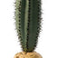 Exo Terra Plant, Saguaro Cactus Pt2981{L+7} 015561229814