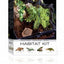 Exo Terra Rainforest Habitat Kit Small Pt2660 - Reptile