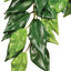 Exo Terra Silk Plant Large Ficus Pt3050{L + 7} - Reptile