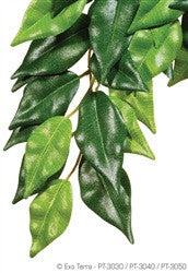 Exo Terra Silk Plant Large Ficus Pt3050{L + 7} - Reptile