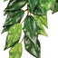 Exo Terra Silk Plant Medium Ficus Pt3040{L+7} 015561230407