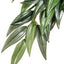 Exo Terra Silk Plant Small Ruscus Pt3031{L+7} 015561230315