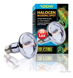 Exo Terra Sun - glo Halogen Lamp 100w Pt2183{L + 7} - Reptile