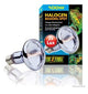 Exo Terra Sun - glo Halogen Lamp 100w Pt2183{L + 7} - Reptile