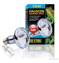 Exo Terra Sun - glo Halogen Lamp 75w Pt2182{L + 7} - Reptile