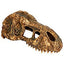 Exo Terra T-rex Skull Small Pt2860{L+7} 015561228602