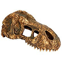 Exo Terra T - rex Skull Small Pt2860{L + 7} - Reptile