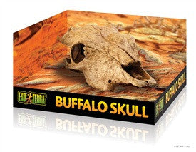 Exo Terra Terrarium Decor, Buffalo Skull Pt2857 015561228572