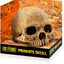 Exo Terra Terrarium Decor Primate Skull Pt2855{L + 7} - Reptile