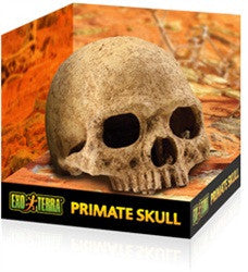 Exo Terra Terrarium Decor, Primate Skull Pt2855{L+7} 015561228558