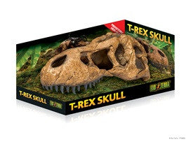 Exo Terra Terrarium Decor T - rex Skull Pt2859 - Reptile