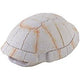 Exo Terra Tortoise Skeleton Pt2927{L + 7}(D) - Reptile