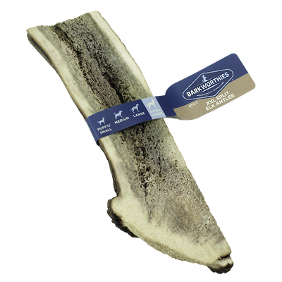 Barkworthies Split Elk Antler Dog Treat 2X-Large 840139126741