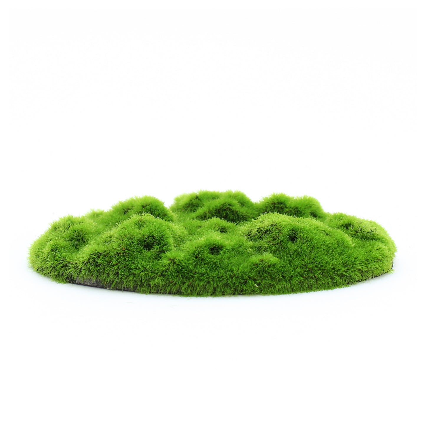 Penn-Plax Aqua-Flora Living Moss Patch Aquarium Ornament 2ea/One Size 030172050299