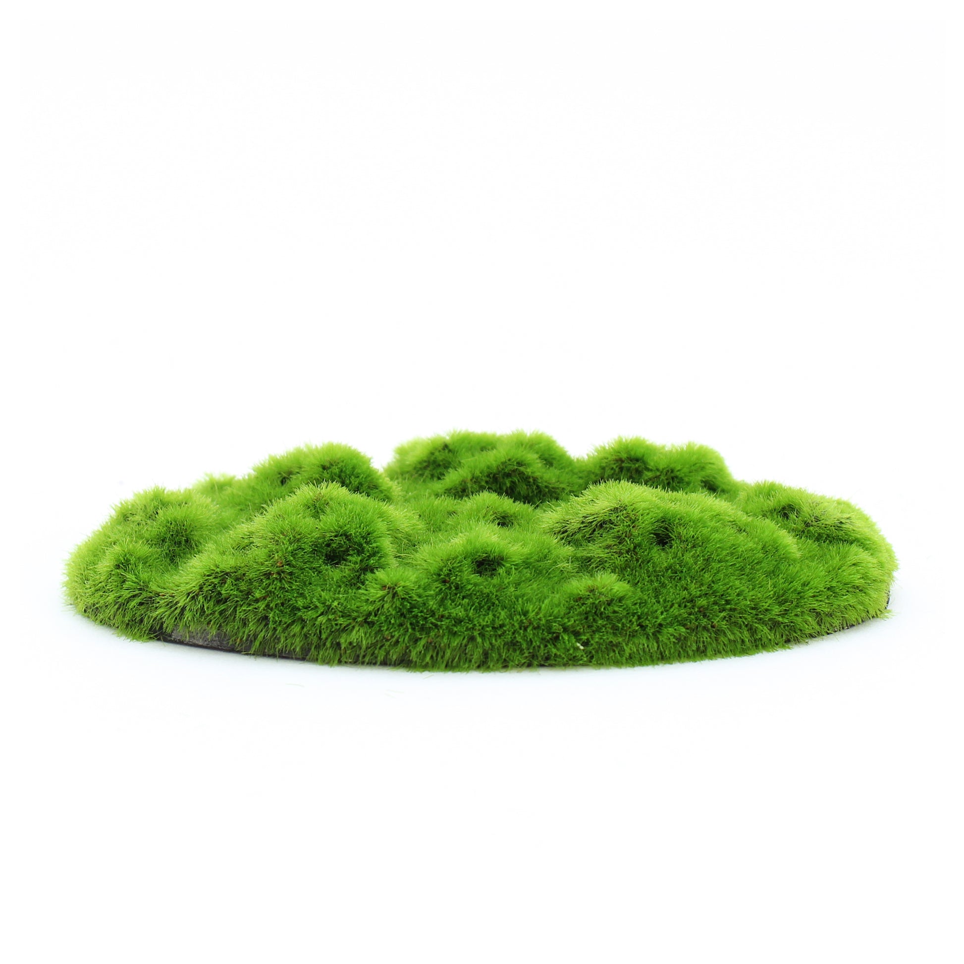 Penn-Plax Aqua-Flora Living Moss Patch Aquarium Ornament 2ea/One Size 030172050299